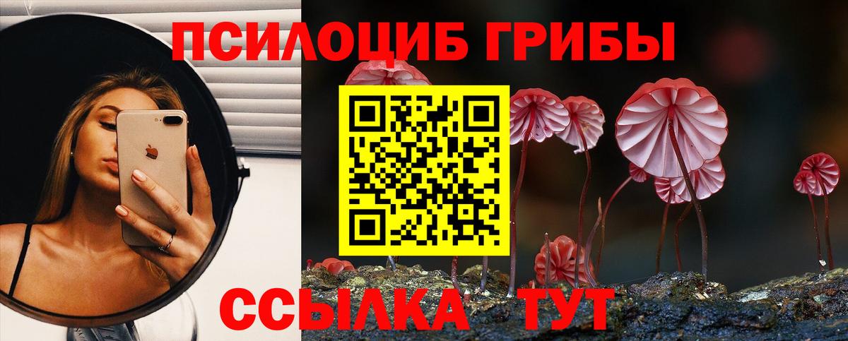 как найти наркотики  Псилоцибиновые грибы Cubensis  Псилоцибиновые грибы Magic Shrooms  Вход с VPN  Волгодонск 